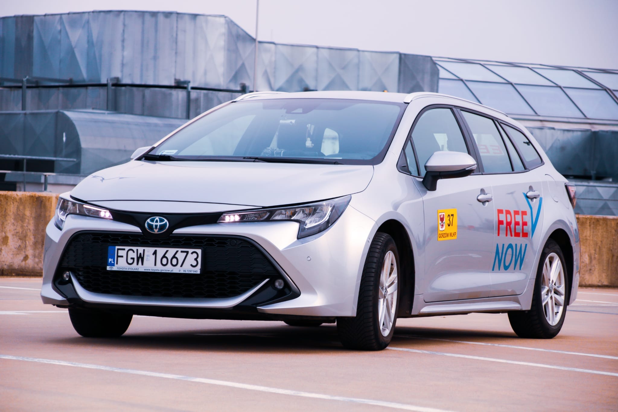 Srebrna Toyota Corolla kombi z logo 'FREE NOW' i numerem bocznym 37 na parkingu w Gorzowie Wielkopolskim, widok z przodu.