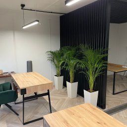 Faanbud - Nowoczesne biuro z jasnymi biurkami o drewnianym blacie i czarnych nogach, zielony fotel obrotowy, rośliny doniczkowe w białych osłonkach, czarna ażurowa ścianka działowa i drabina aluminiowa w tle.