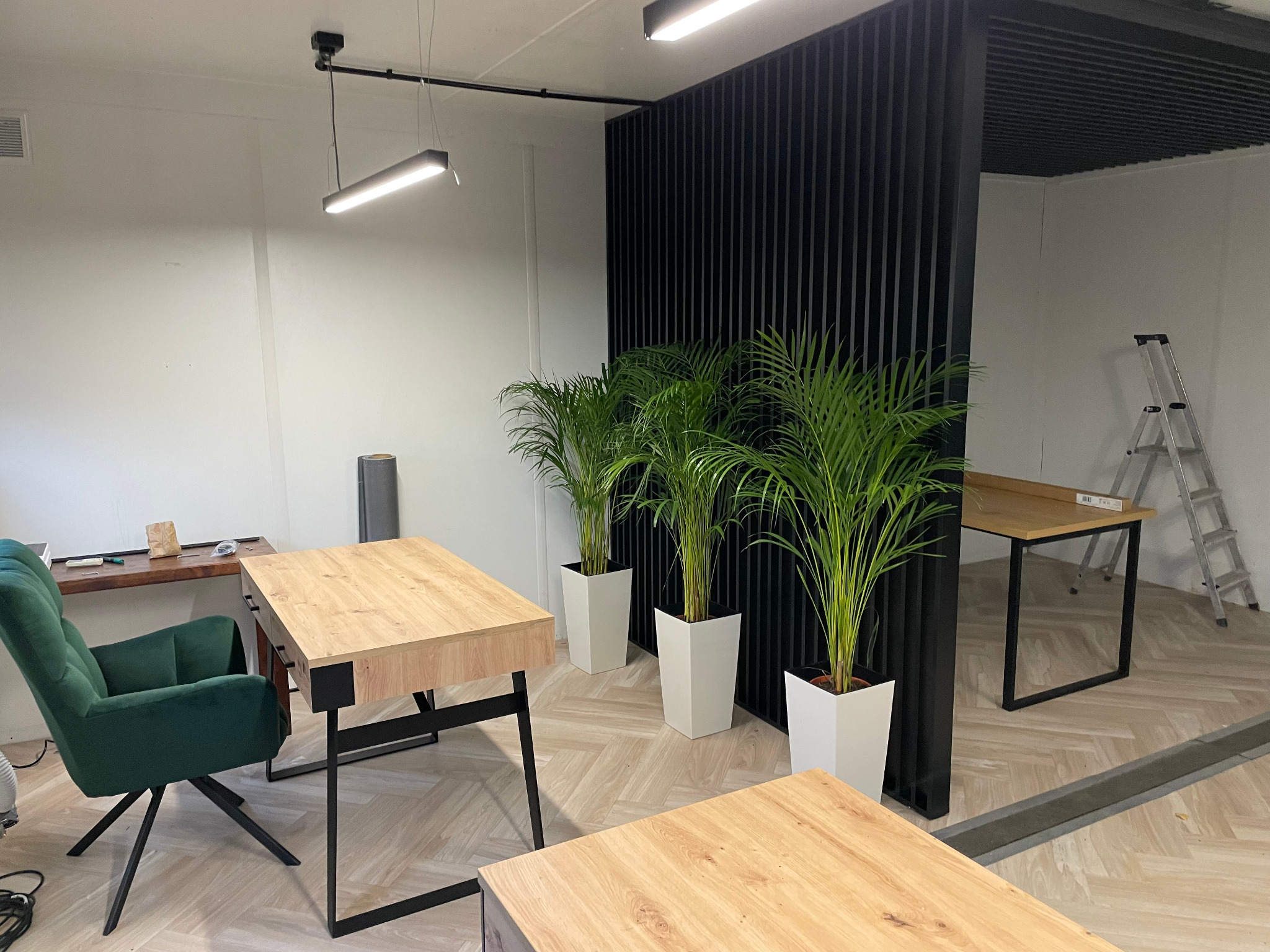 Nowoczesne biuro z jasnymi biurkami o drewnianym blacie i czarnych nogach, zielony fotel obrotowy, rośliny doniczkowe w białych osłonkach, czarna ażurowa ścianka działowa i drabina aluminiowa w tle.