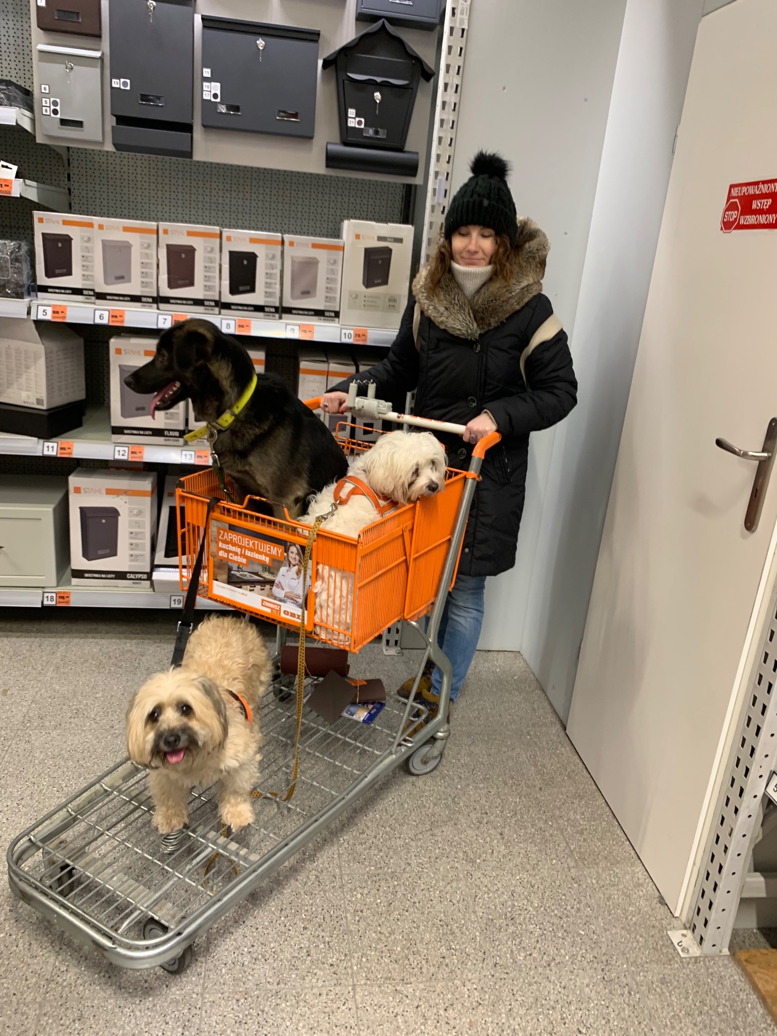 Kobieta w czarnej kurtce i czapce prowadzi pomarańczowy wózek sklepowy z trzema psami różnych ras w sklepie z artykułami do domu i ogrodu, w tle półki z skrzynkami na listy.