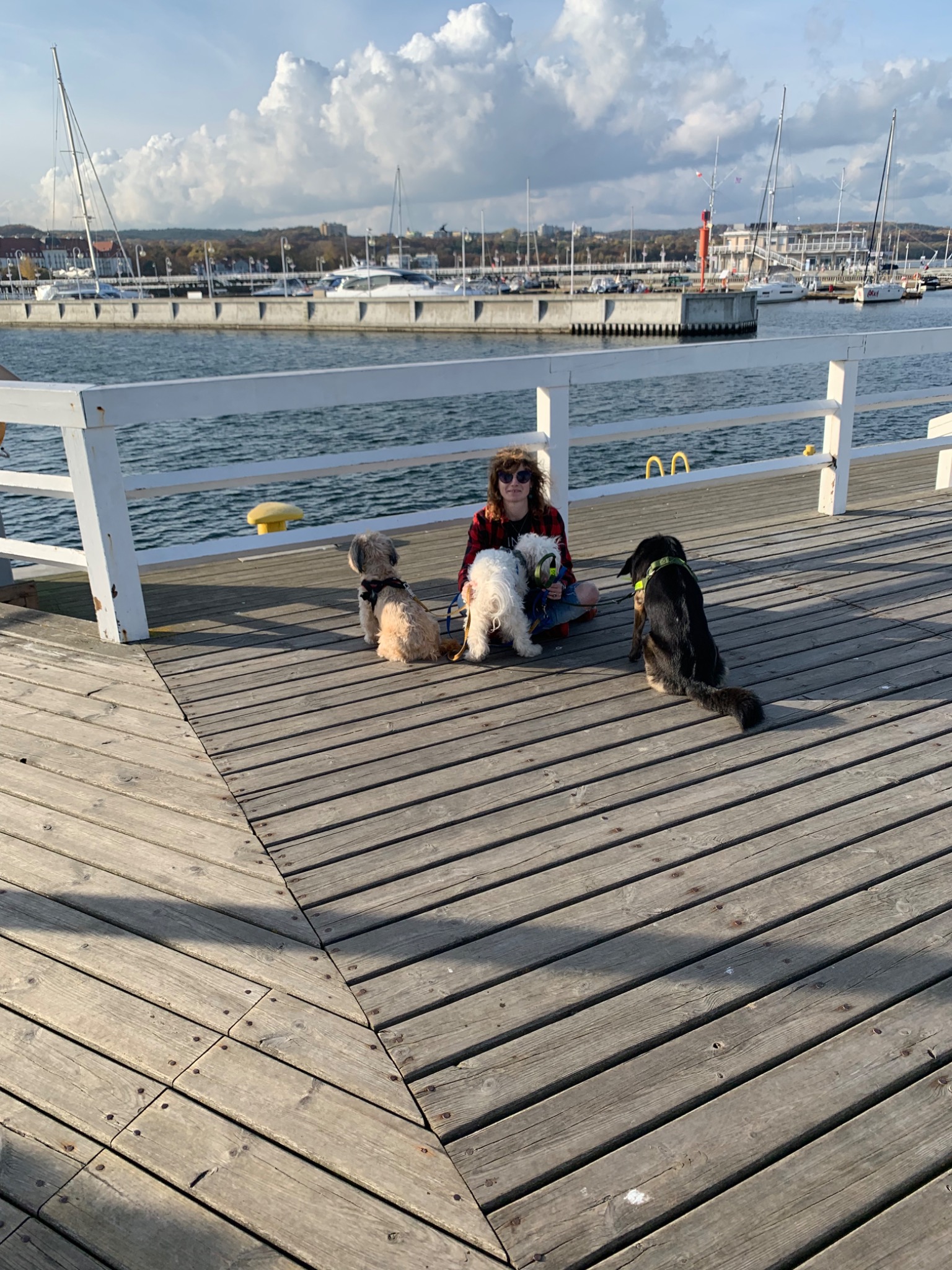 Osoba w czerwonej koszuli w kratę siedzi na drewnianym molo z trzema psami różnych ras i rozmiarów, w tle widok na marinę z jachtami i łodziami pod żaglami.