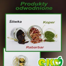 projekty ulotek, katalogów