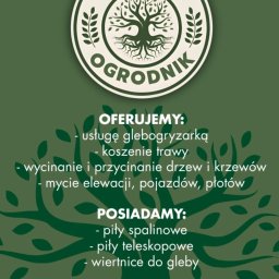 Twój Ogrodnik - Doskonała Wycinka Drzew Brzeg
