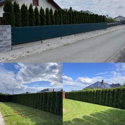 Wycinka drzew Brzeg 4