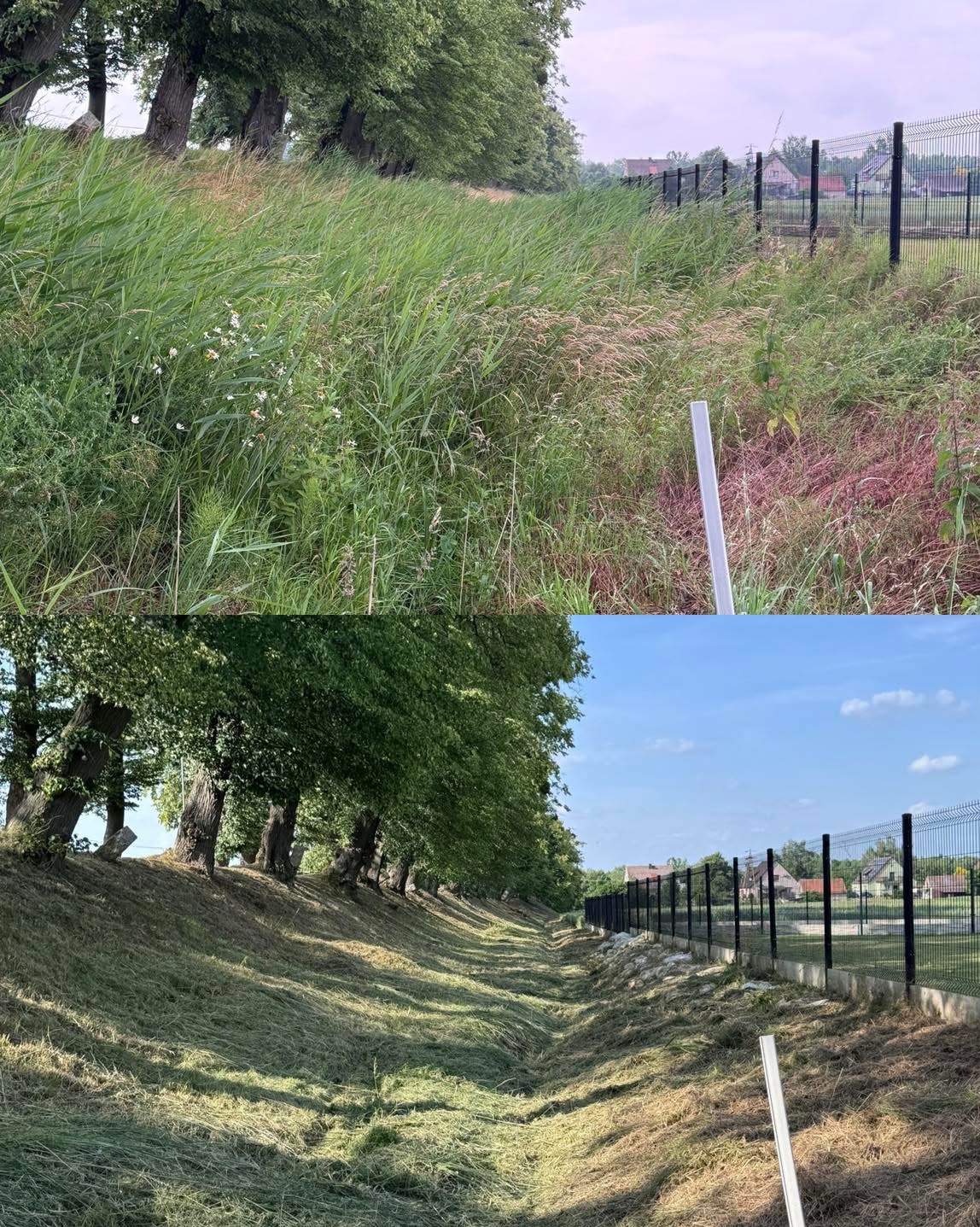 Zdjęcie 'przed i po' rowu melioracyjnego: zarośnięty trawą i chwastami (góra), a następnie wykoszony i oczyszczony (dół), z widocznym ogrodzeniem w tle.