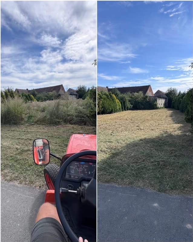 Porównanie: Zarośnięty teren przed i po koszeniu. Widok z perspektywy operatora kosiarki traktorka. Budynki w tle.