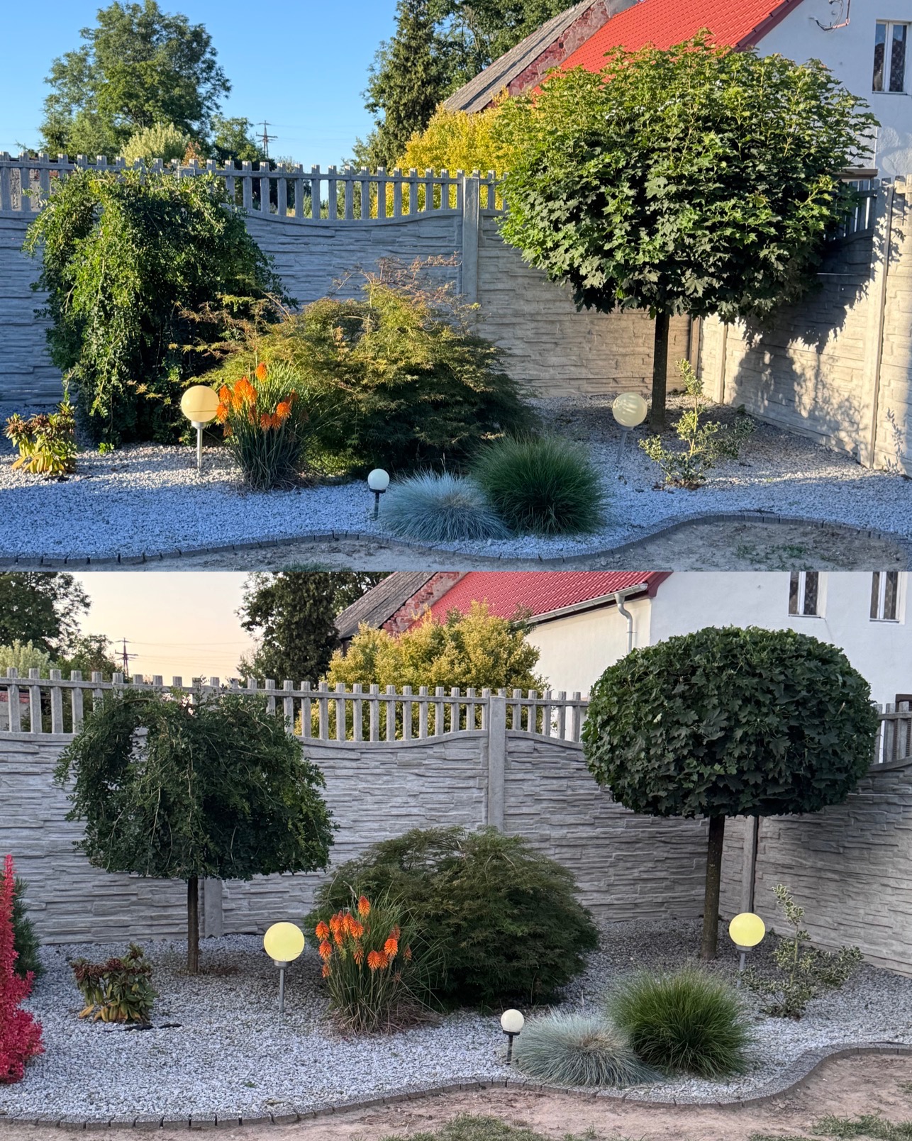 Dwa ujęcia tego samego ogrodu: kuliste drzewa, ozdobne krzewy, pomarańczowe kwiaty, szary żwir, betonowy płot. Widoczne oświetlenie ogrodowe.