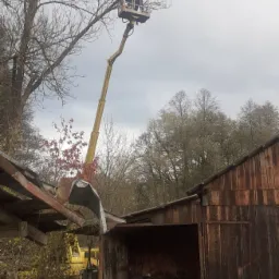 Pracownicy na podnośniku koszowym obcinają gałęzie drzewa w pobliżu zniszczonej szopy w pochmurny dzień.