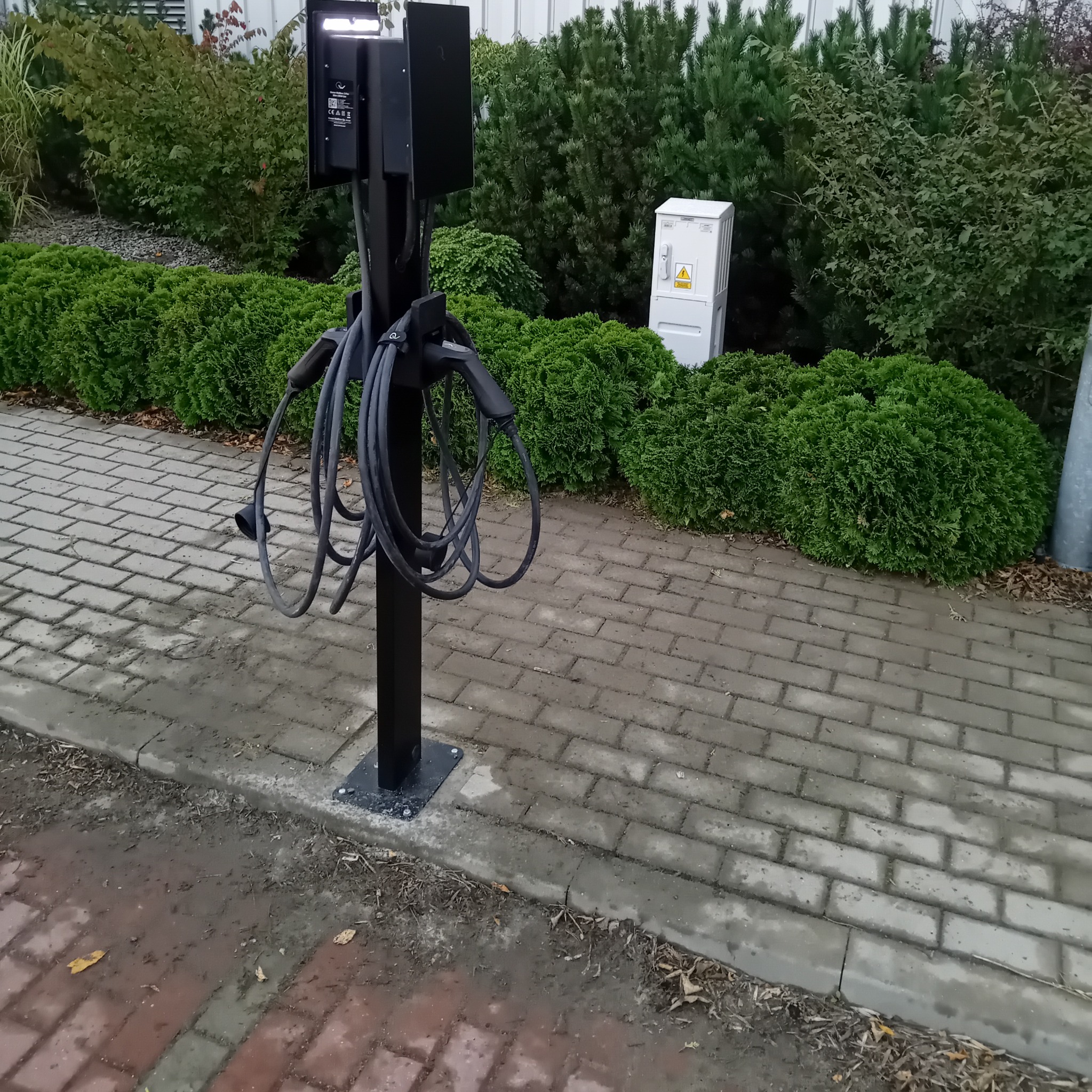 Czarna stacja ładowania pojazdów elektrycznych z dwoma kablami zwisającymi na tle zielonych krzewów i skrzynki elektrycznej na zewnątrz.