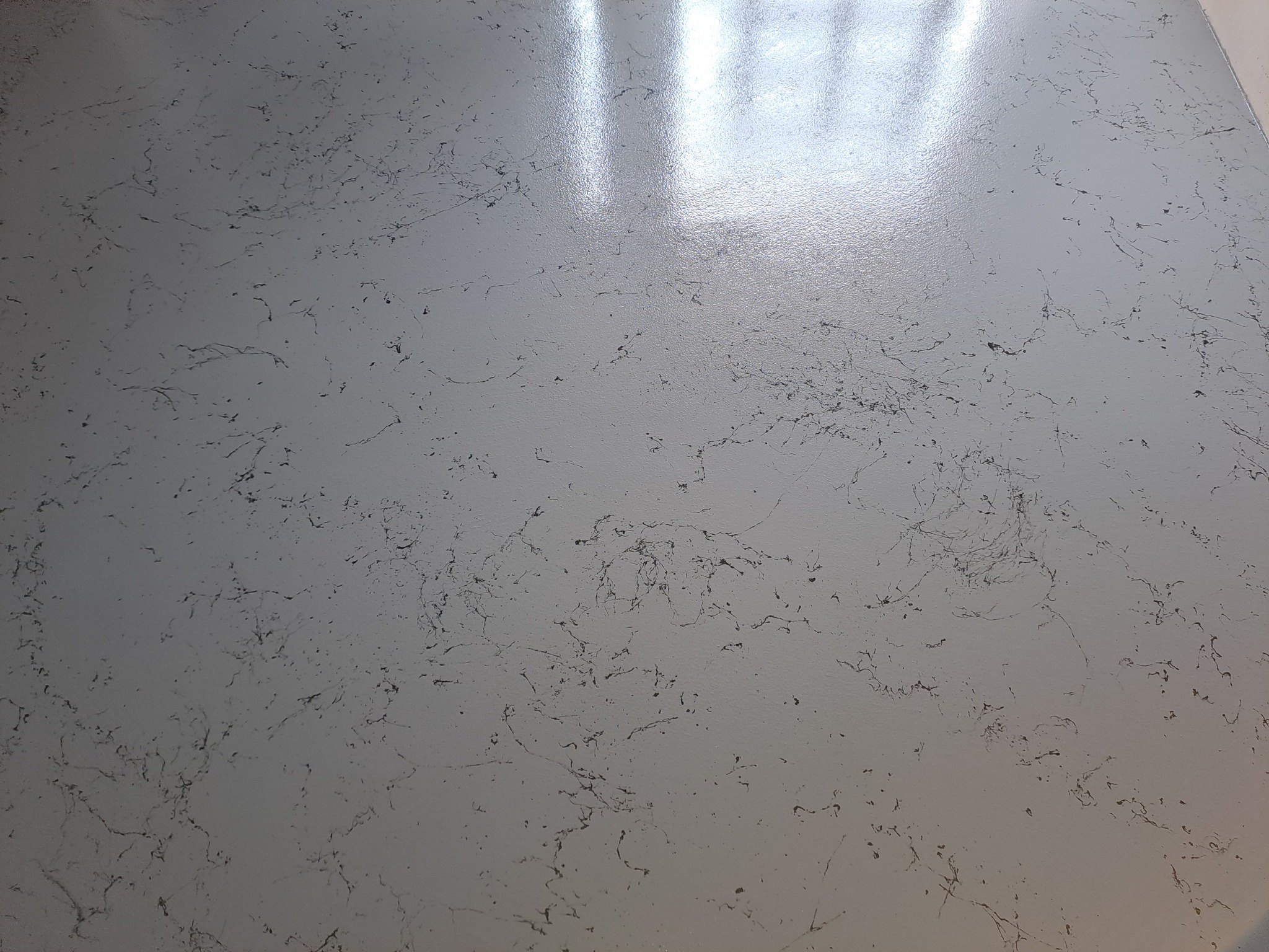 Jasnoszara, błyszcząca powierzchnia z ciemnymi, nieregularnymi wzorami przypominającymi żyłki. Widoczne refleksy świetlne. Gładka, jednolita struktura.