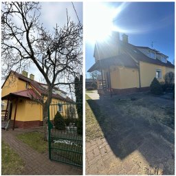 Forest-Plus - Wysokiej Klasy Koszenie Traw Bydgoszcz