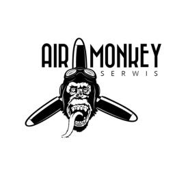 Air Monkey serwis, montaż klimatyzacji oraz serwis wentylacji Bartłomiej Obrochta - Klimatyzacja Bielawa