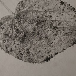 Malarstwo artystyczne Pabianice 3