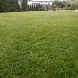 Rozległy trawnik z niską trawą, widoczne ślady po kosiarce, w tle rząd tuj, plac zabaw i osoby.