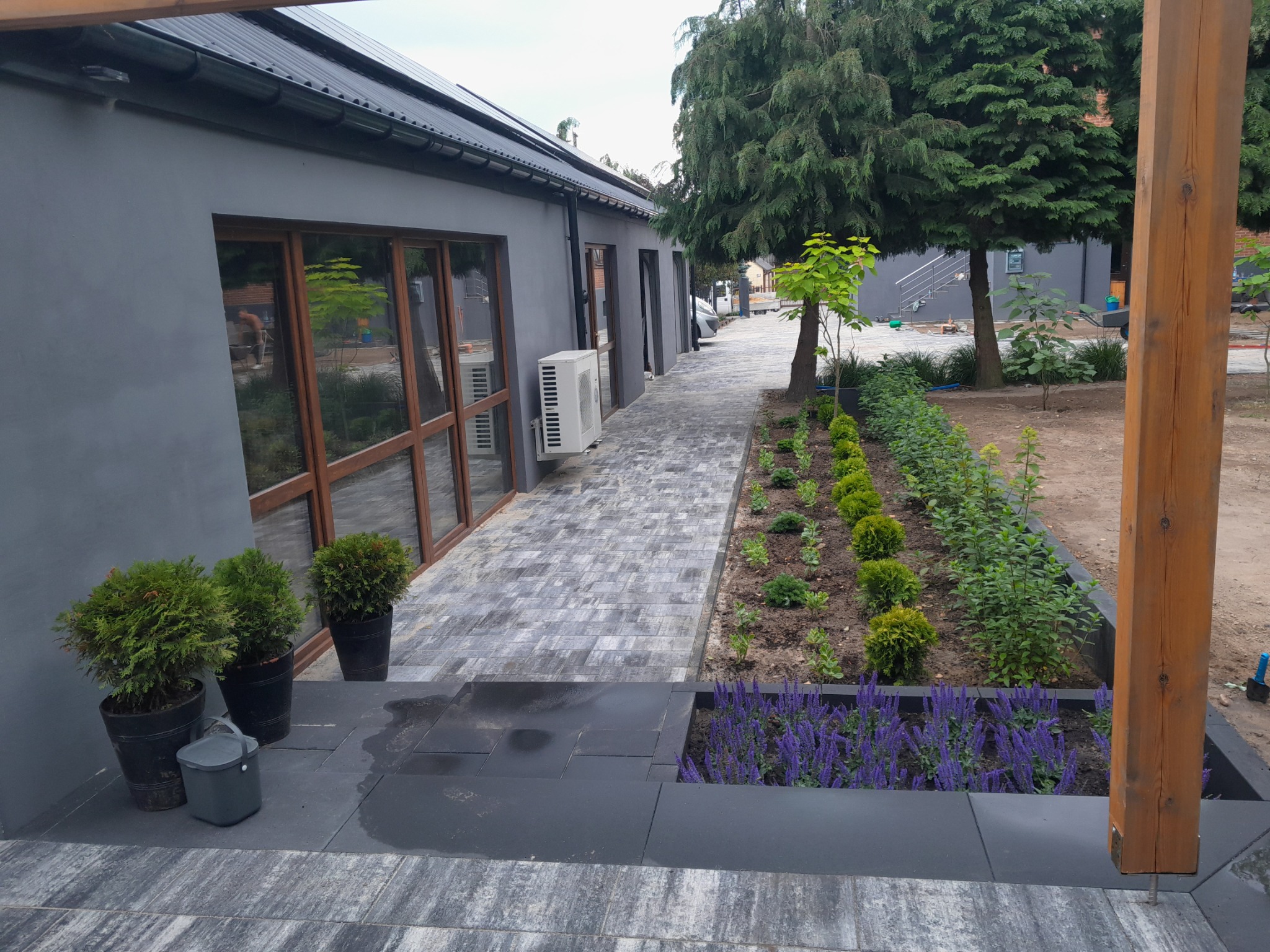 Szara kostka brukowa prowadząca wzdłuż budynku z dużymi oknami, obok rabata z fioletowymi kwiatami i kulistymi krzewami, w tle drzewa.