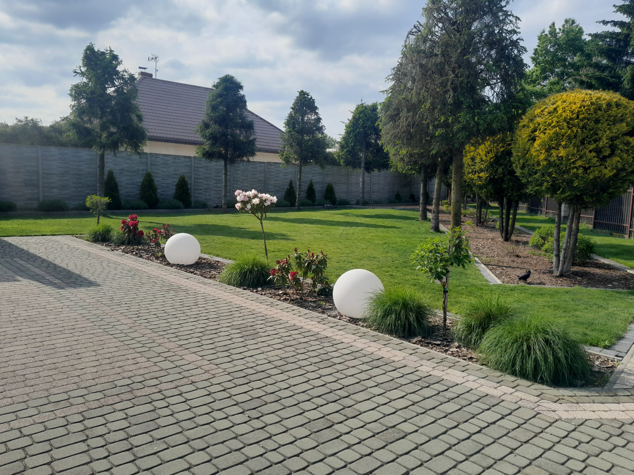 Uporządkowany ogród z równo ułożoną kostką brukową, kulistymi lampami, rabatami kwiatowymi i strzyżonymi drzewami w tle ogrodzenia.