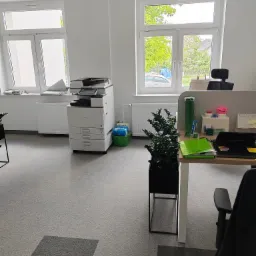 Jasne, minimalistyczne biuro z dwoma oknami, białymi ścianami i szarym dywanem w romby, z widocznym biurkiem, krzesłem, drukarką Ricoh i rośliną doniczkową w czarnej, geometrycznej donicy.