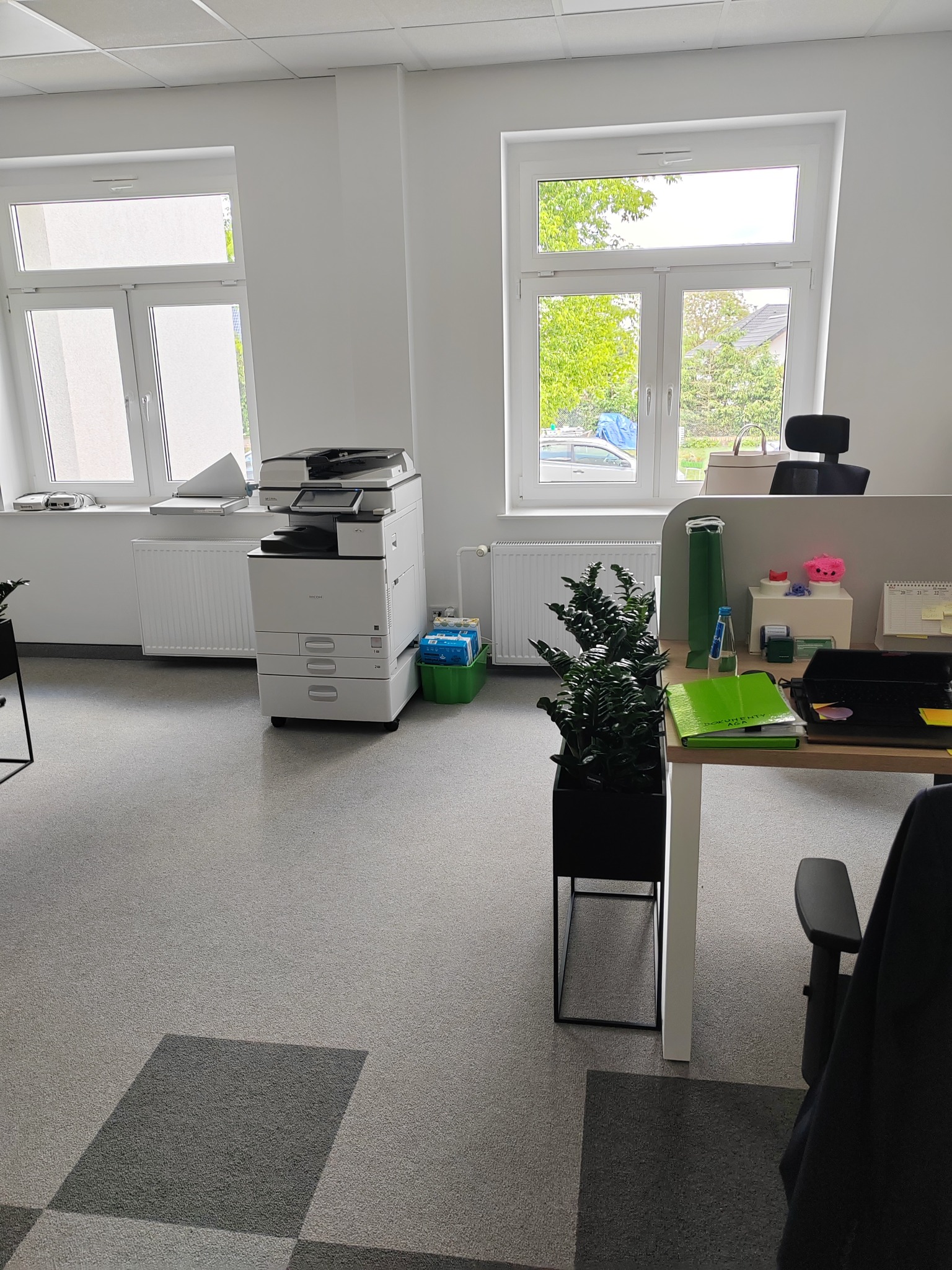 Jasne, minimalistyczne biuro z dwoma oknami, białymi ścianami i szarym dywanem w romby, z widocznym biurkiem, krzesłem, drukarką Ricoh i rośliną doniczkową w czarnej, geometrycznej donicy.