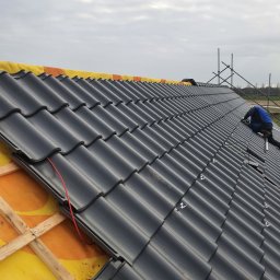 Wymiana poszycia boguszów