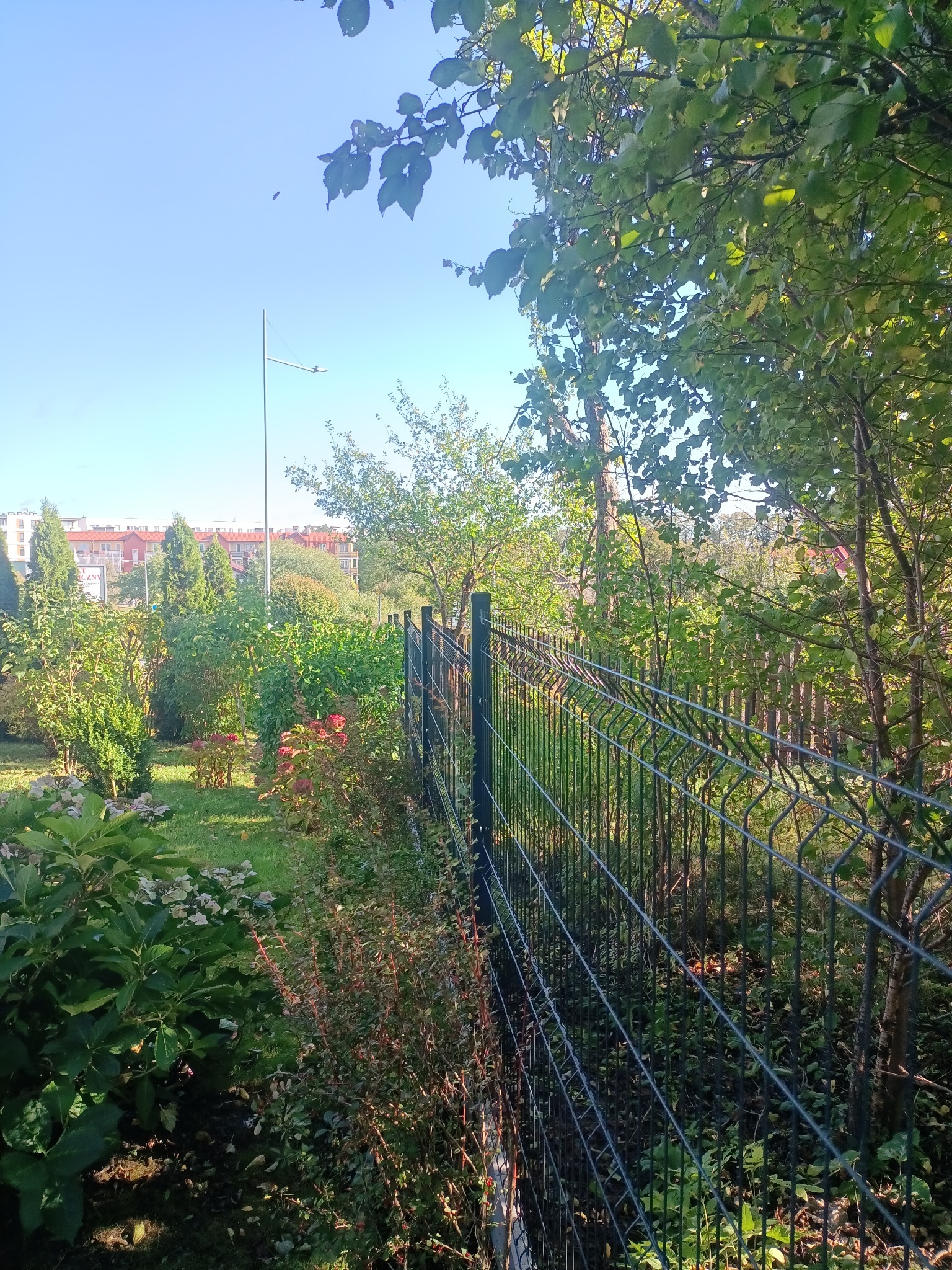 Metalowe ogrodzenie panelowe w zielonym ogrodzie z widokiem na budynki mieszkalne w oddali, oświetlone słonecznym światłem.