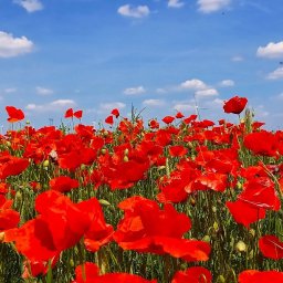 Sprzedaż mieszkania Wejherowo 3