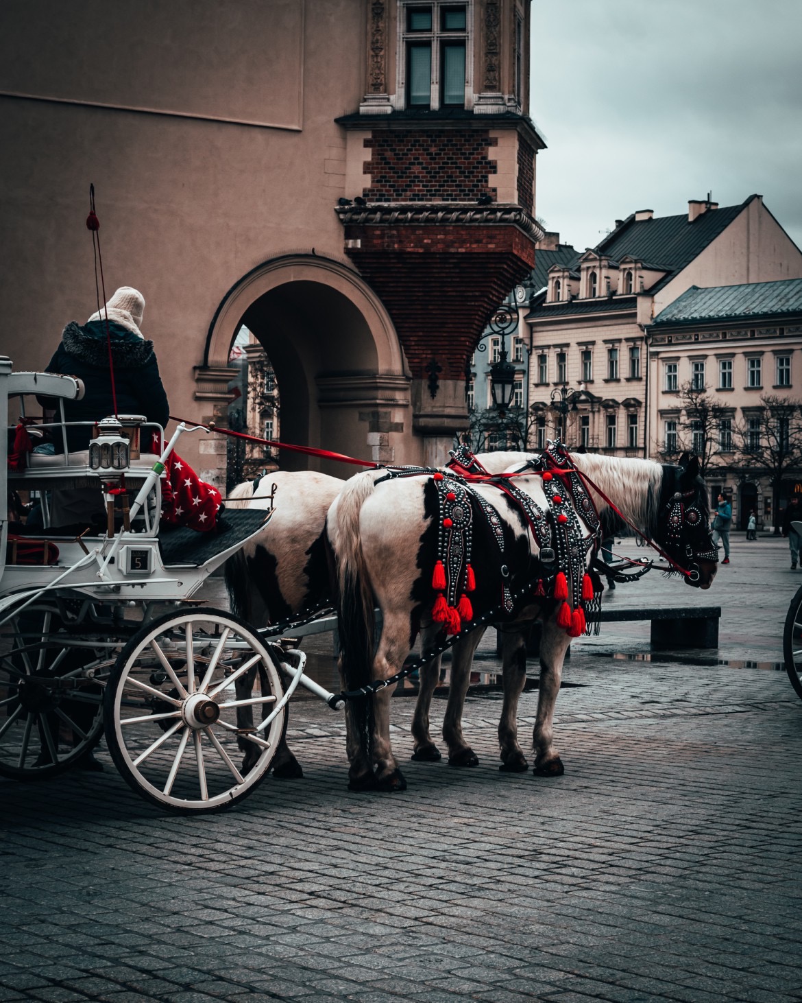 Dwa konie zaprzęgnięte do białej karocy z czerwonymi ozdobami, stojące na brukowanym placu w Krakowie, na tle zabytkowej architektury.