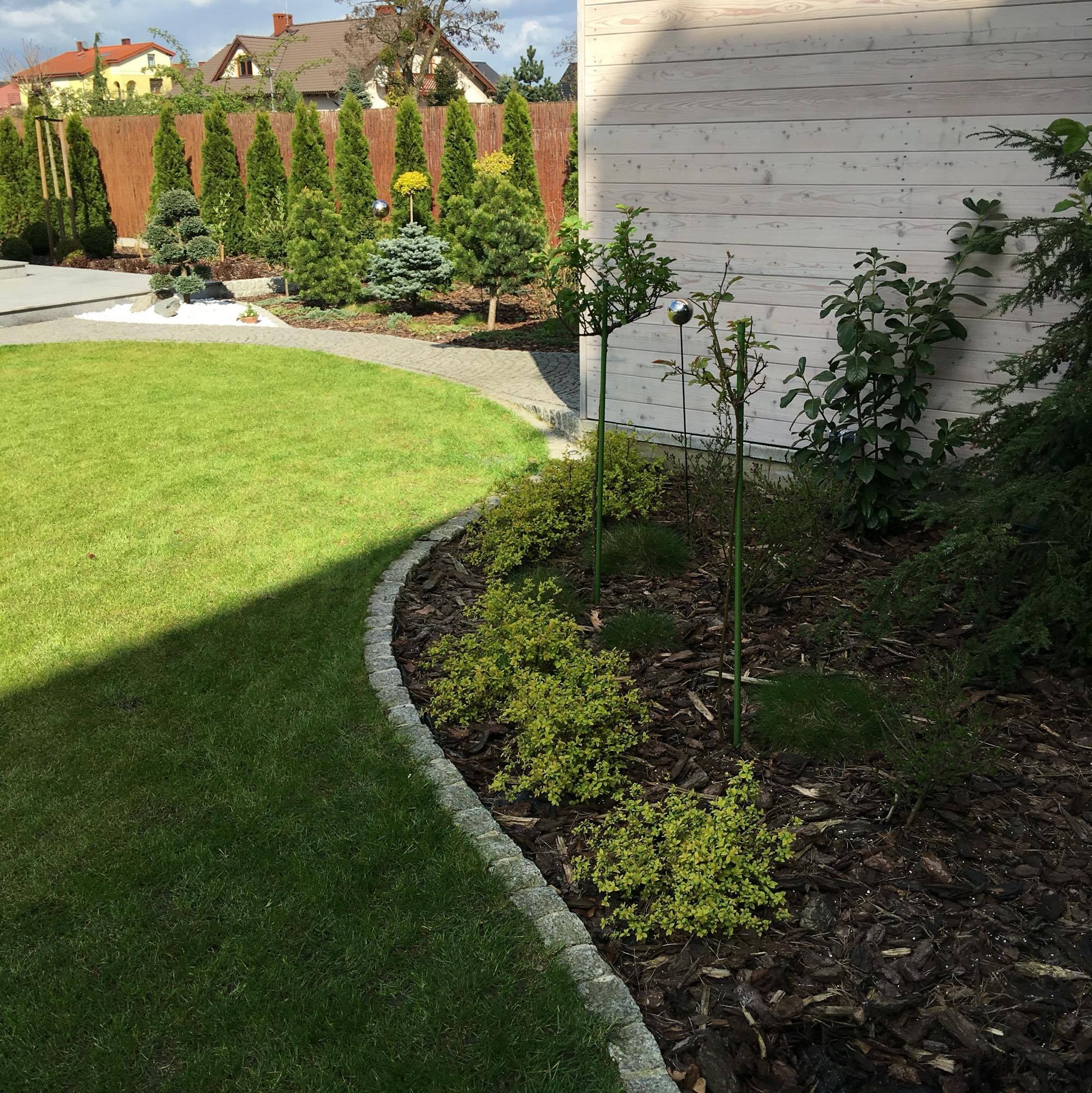 Starannie zaprojektowany ogród z równo przystrzyżonym trawnikiem, obrzeżem z kostki granitowej i rabatą wysypaną korą, w tle tuje i inne drzewa iglaste.