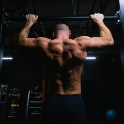 Łukaszgórnisiewicz - Mężczyzna o wyrzeźbionych plecach wykonuje podciąganie na drążku w siłowni, widok z tyłu, tatuaż na ramieniu.