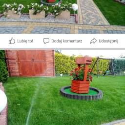 Trawa z rolki Żnin 4