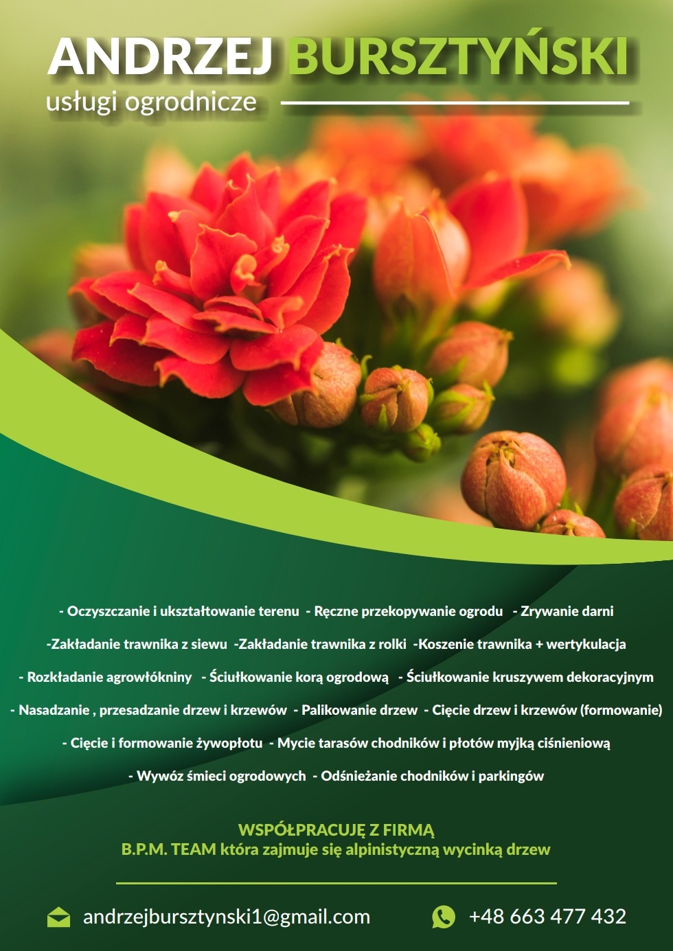 Reklama usług ogrodniczych z pomarańczowym kwiatem Kalanchoe na pierwszym planie, logo firmy i lista oferowanych usług.