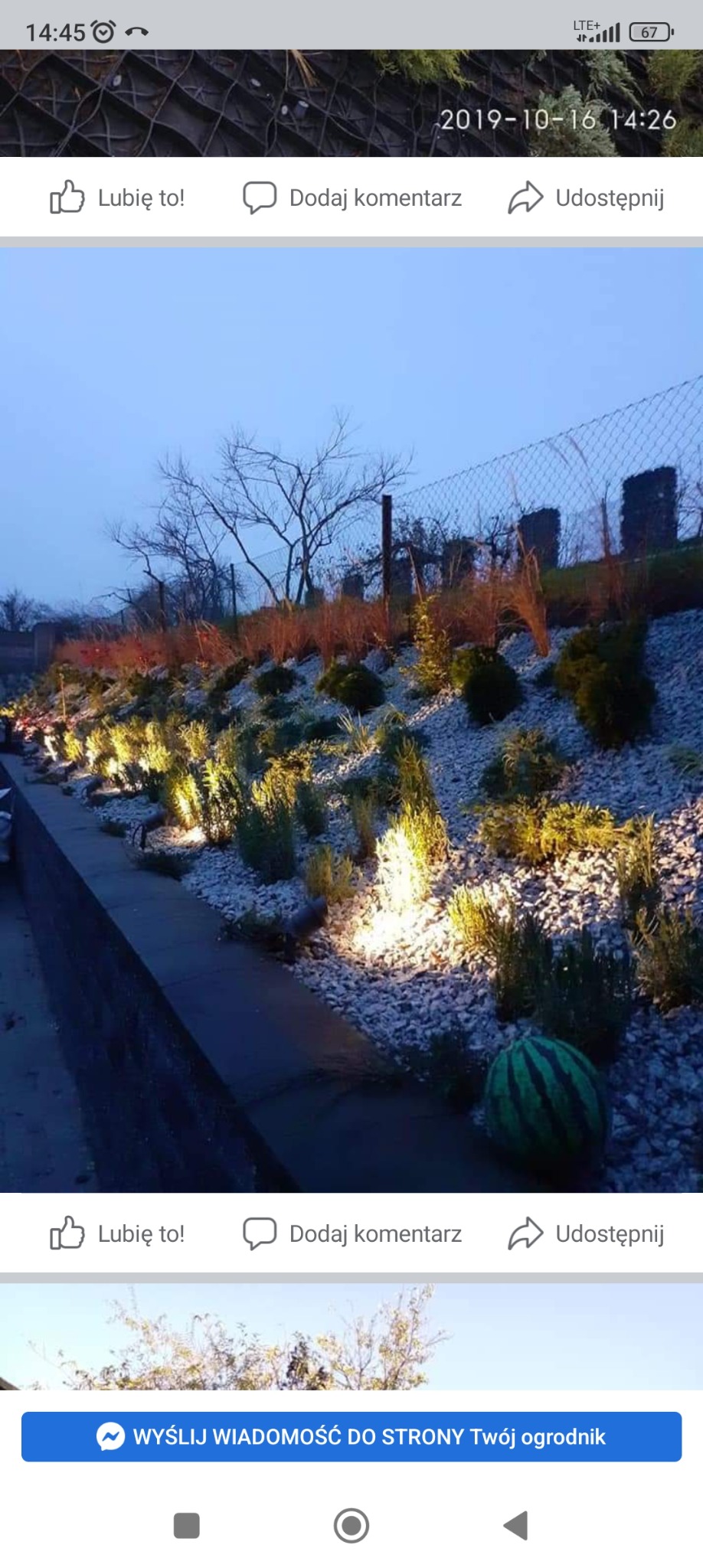 Oświetlony ogród skalny z roślinami i białym grysem, widoczne lampy ogrodowe, w tle siatka ogrodzeniowa i drzewa bez liści, w dolnej części zdjęcia arbuz.