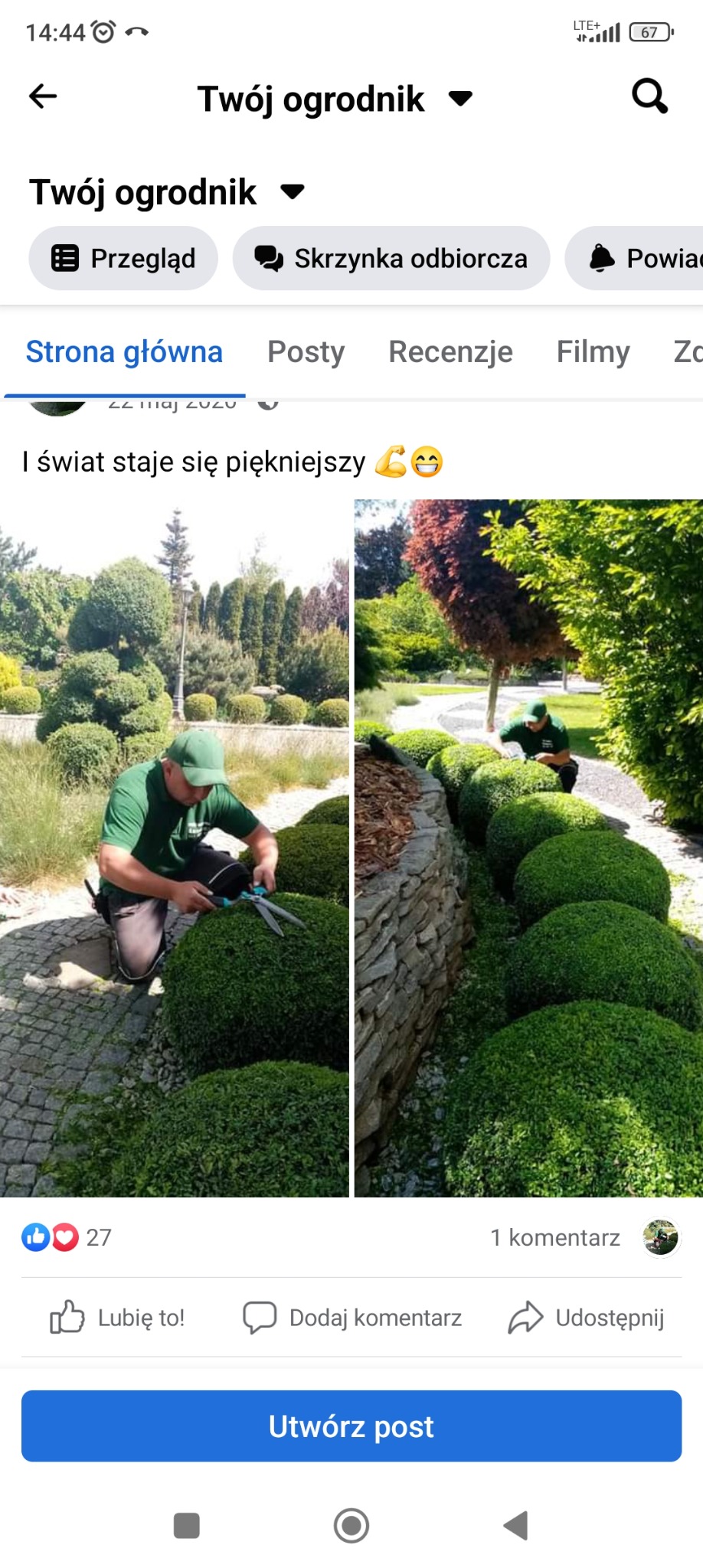 Dzielone zdjęcie: Ogrodnik w zielonej koszulce i czapce, na kolanach, przycina nożycami kuliste krzewy wzdłuż ścieżki z kostki brukowej; drugi kadr pokazuje rząd kulistych krzewów oddzielonych...