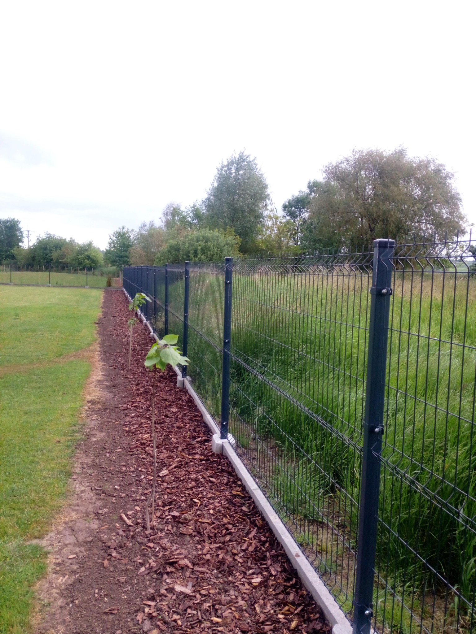 Długa, ciemna, metalowa siatka ogrodzeniowa z betonową podmurówką, oddzielająca trawnik od wysokiej trawy, z młodymi drzewkami zasadzonymi w wyściółkowanej korą rabacie wzdłuż ogrodzenia.