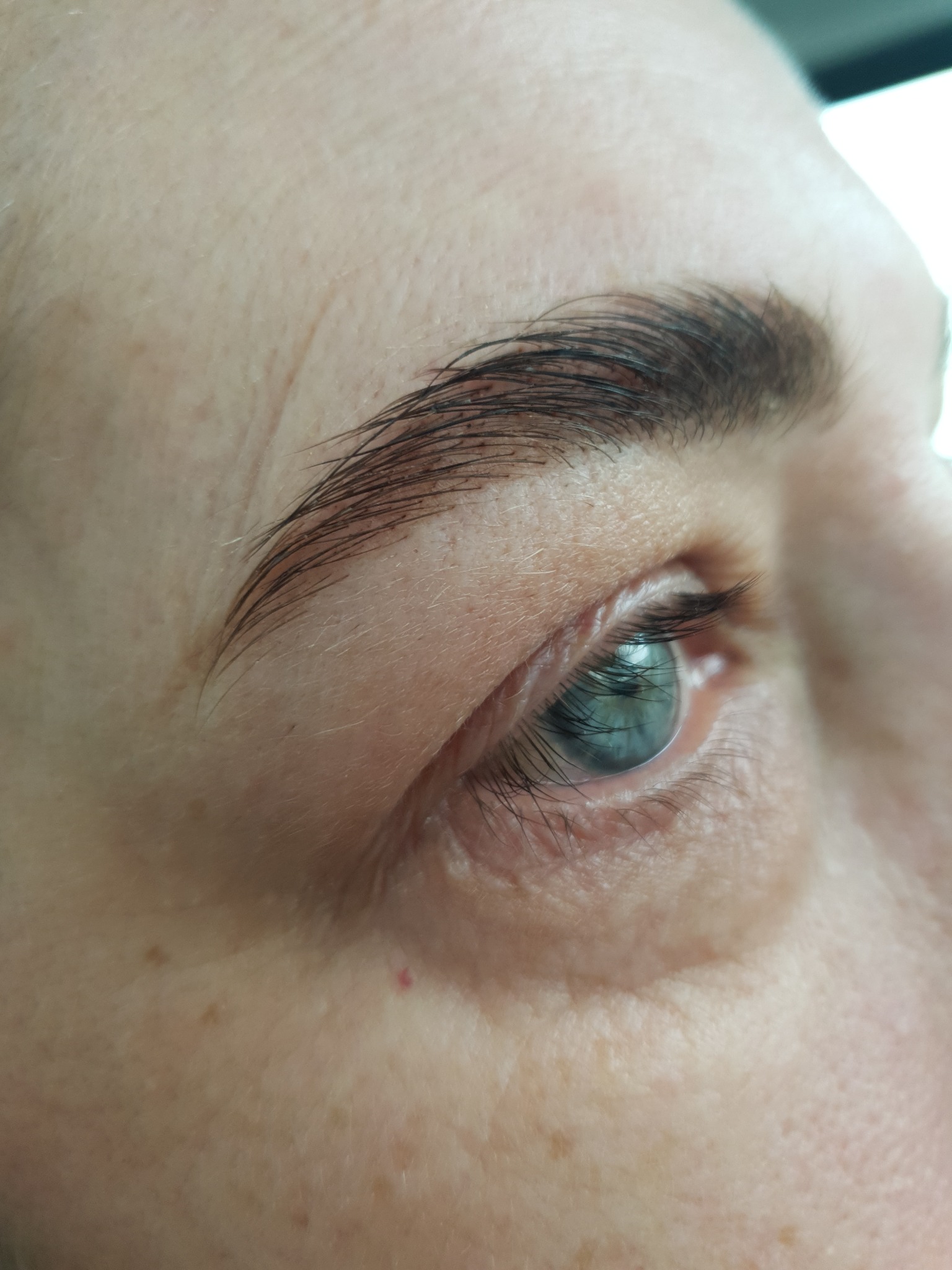 Zbliżenie na oko z widoczną brwią po zabiegu laminacji, uwydatniającym naturalny kształt i kolor włosków.