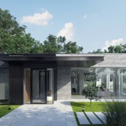 Nowoczesny dom jednorodzinny z płaskim dachem, elewacją z czarnych paneli i szarej cegły, duże przeszklenia, otoczony zielenią i ścieżką z płyt.