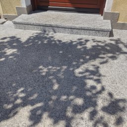 Volodymyr Gonchar - Granitowe schody wejściowe i podest przed brązowymi drzwiami wejściowymi, z cieniem drzewa na posadzce.