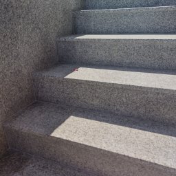 Volodymyr Gonchar - Schody zewnętrzne wyłożone szarym, ziarnistym granitem, z widocznym cieniem i małym, różowym płatkiem na jednym ze stopni.