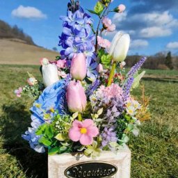 Wynajem namiotów Olszanica 2