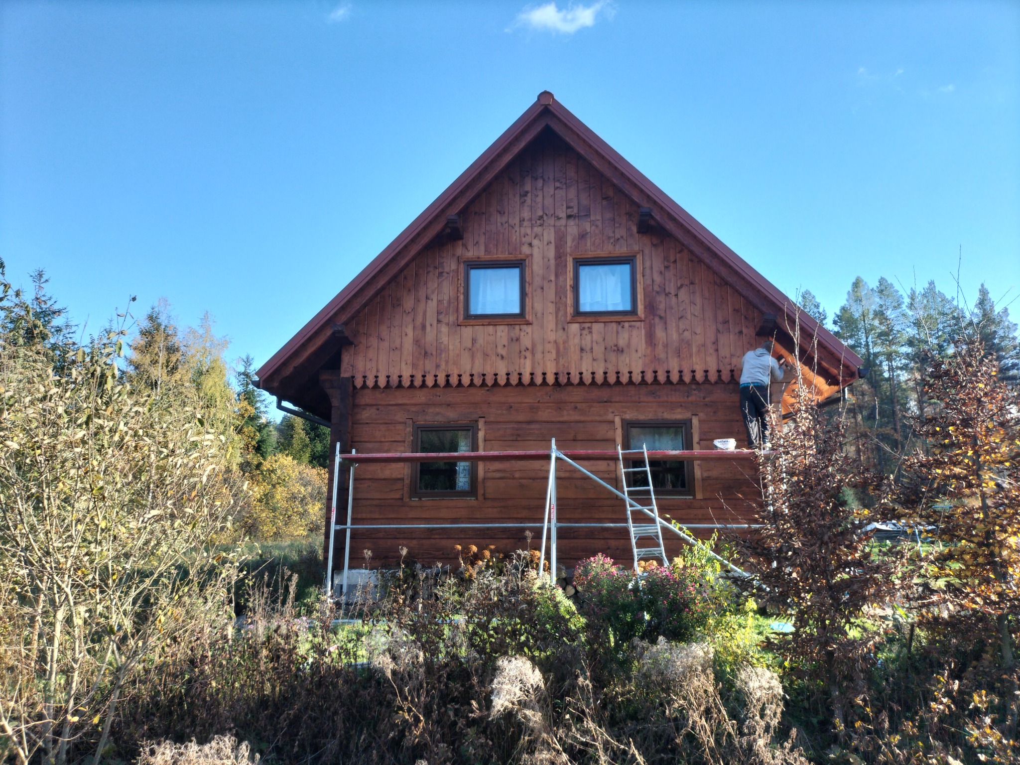 Malowanie drewnianej elewacji domu z rusztowania w słoneczny dzień, widoczne wiadro z farbą i otaczająca roślinność.