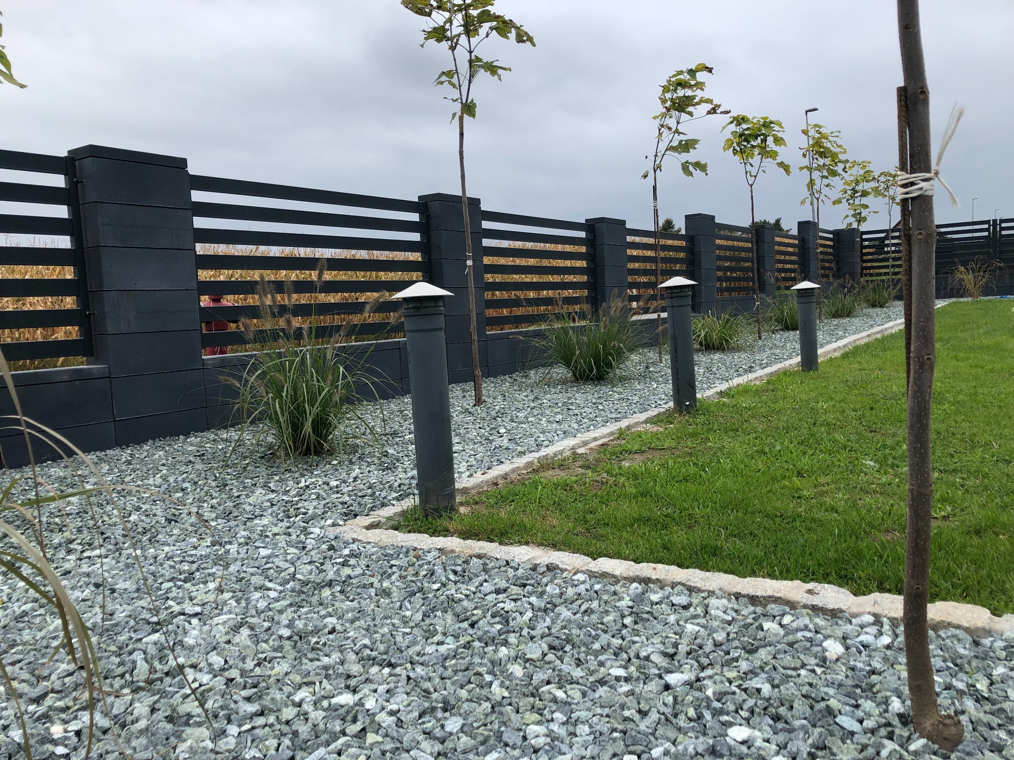 Nowoczesne ogrodzenie panelowe w kolorze grafitowym z podmurówką, uzupełnione ozdobnym grysem i młodymi drzewkami, oświetlone niskimi lampami ogrodowymi.