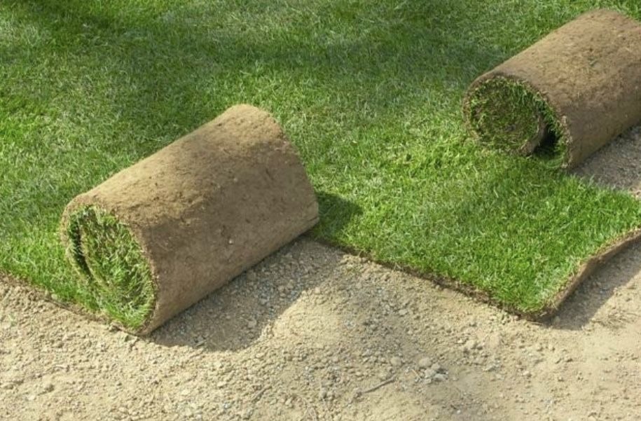 Układanie trawy z rolki