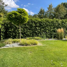 Ogrody u Kuby - Prace Ziemne Poznań