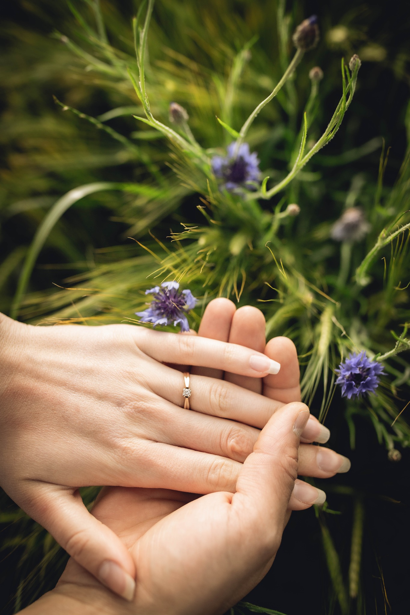 Zbliżenie dłoni kobiety z pierścionkiem zaręczynowym splecionych z męską dłonią na tle polnych kwiatów, w tym bławatków.
