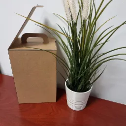 Pudełko z tektury falistej z uchwytem obok białej doniczki z rośliną na drewnianym blacie.