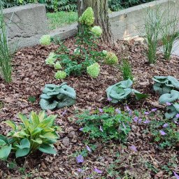 Zakładanie ogrodów Lubasz 3