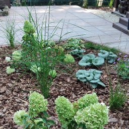 Zakładanie ogrodów Lubasz 4