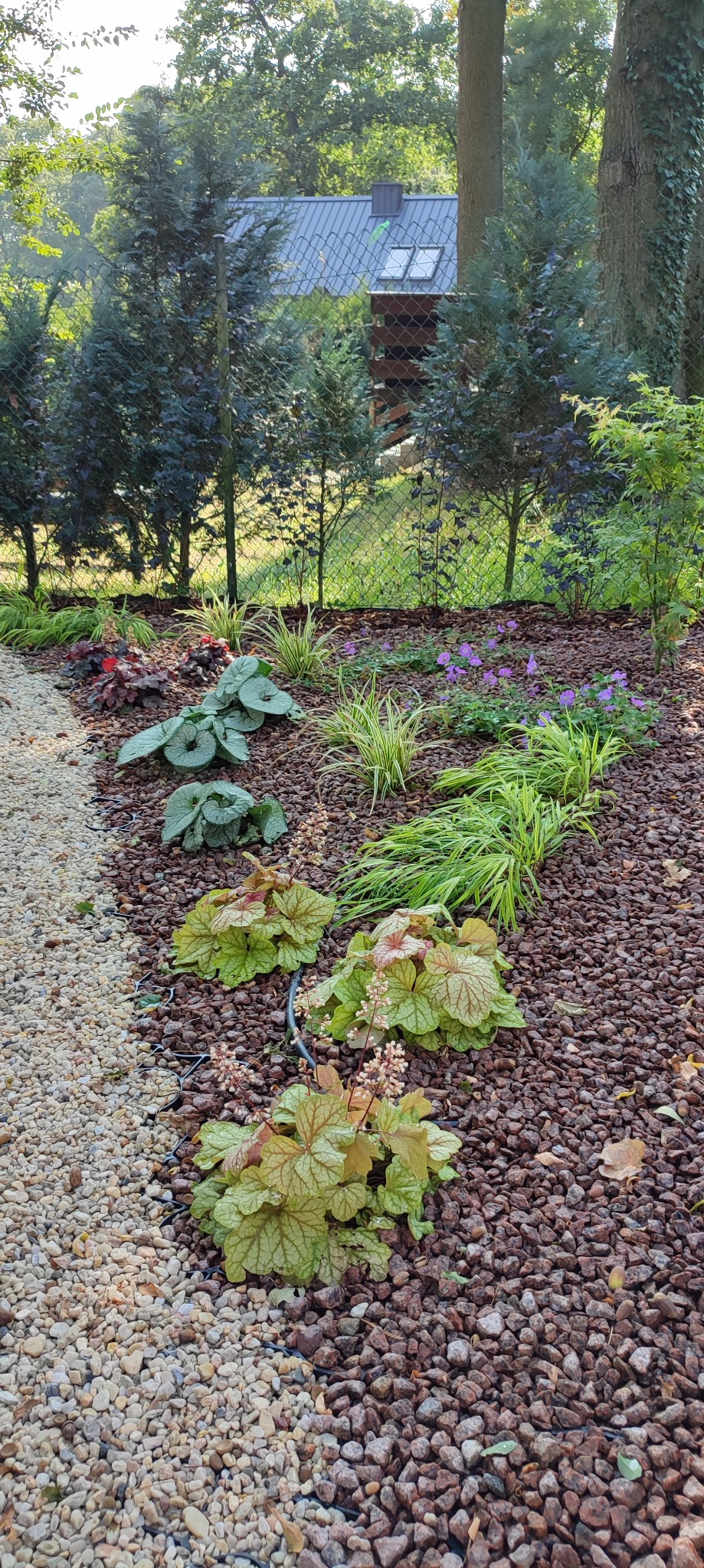Rabata z różnorodnymi roślinami ozdobnymi, wysypana korą i oddzielona od ścieżki z jasnych kamyczków czarną obrzeżem, w tle widoczne drzewa i budynek z dachem krytym blachą.