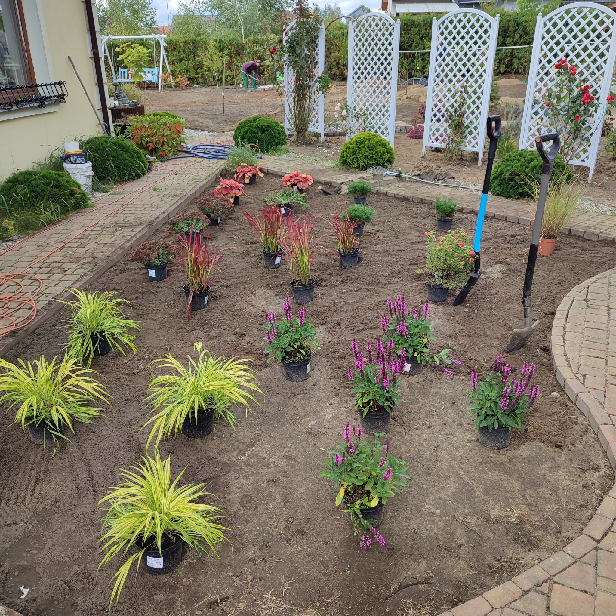 Przygotowanie do sadzenia roślin w ogrodzie: sadzonki w doniczkach, dwie łopaty wbite w ziemię, widoczny fragment ścieżki z kostki, białe trejaże w tle.