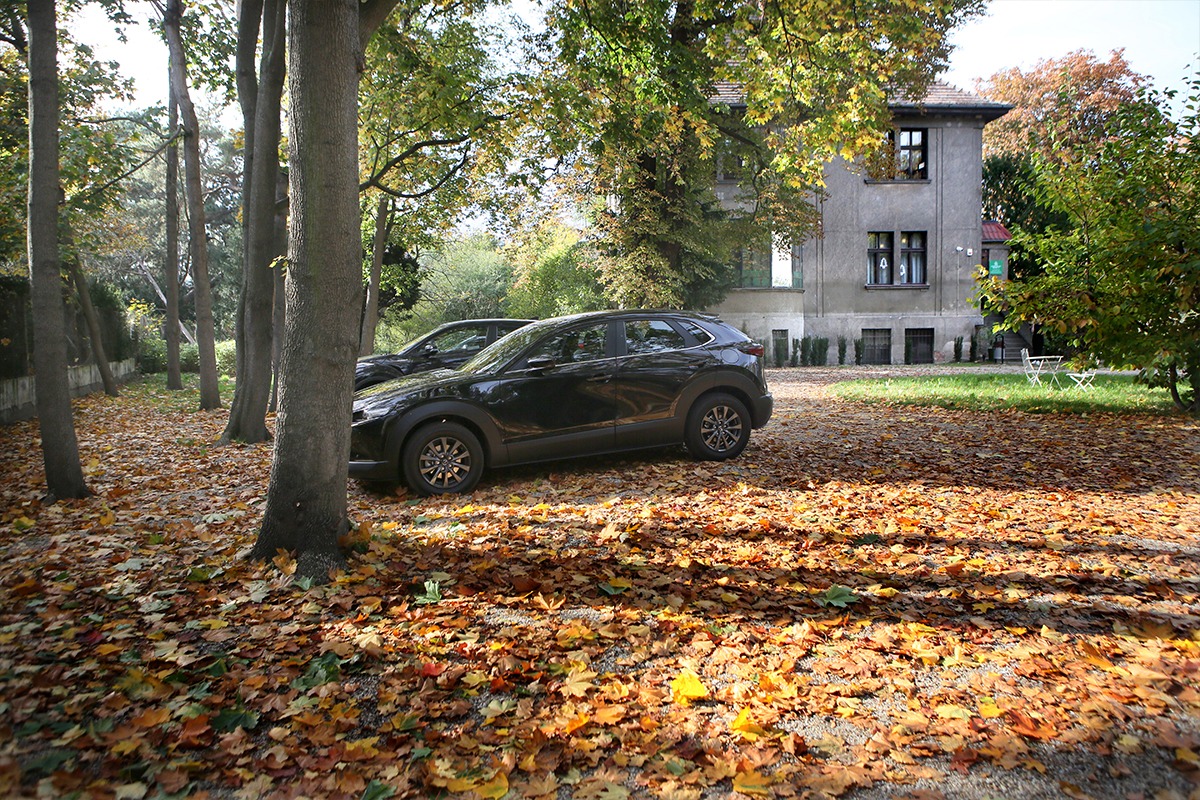 Dwa czarne samochody zaparkowane na podwórku z drzewami i opadłymi liśćmi, w tle szary budynek z oknami.