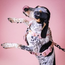 Sesja ciążowa Warszawa 4